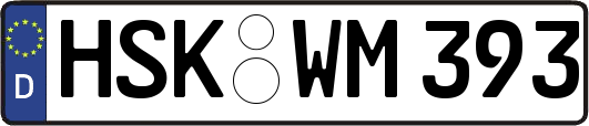 HSK-WM393