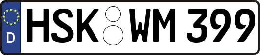 HSK-WM399