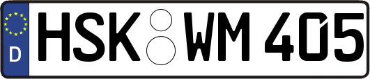 HSK-WM405