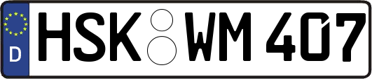 HSK-WM407