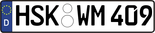 HSK-WM409
