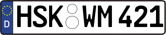 HSK-WM421
