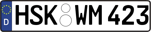 HSK-WM423