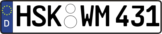 HSK-WM431