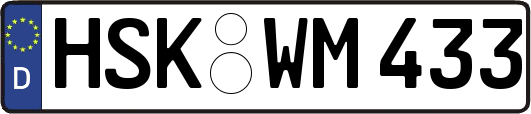 HSK-WM433