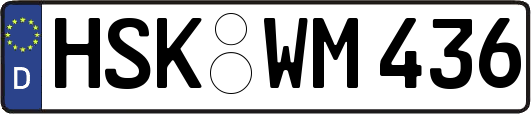 HSK-WM436