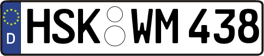 HSK-WM438