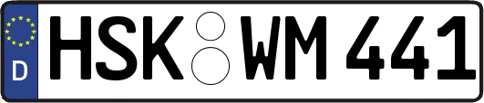 HSK-WM441