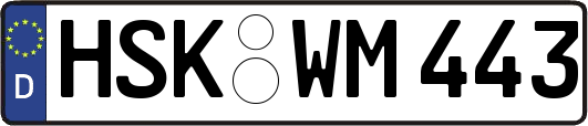 HSK-WM443