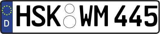 HSK-WM445