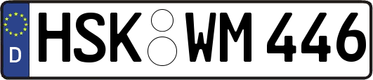 HSK-WM446