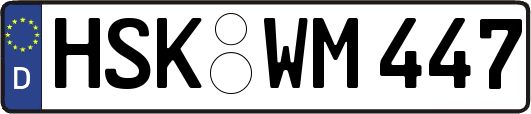 HSK-WM447
