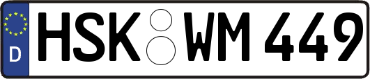 HSK-WM449
