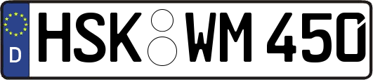 HSK-WM450
