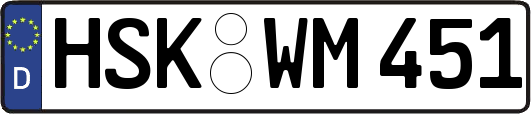 HSK-WM451