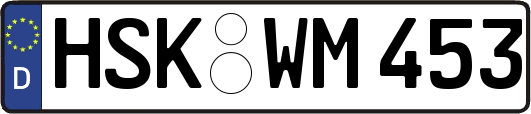 HSK-WM453