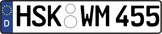 HSK-WM455