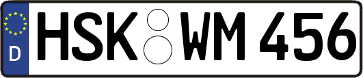 HSK-WM456