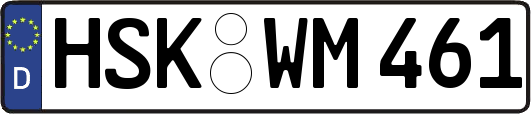 HSK-WM461