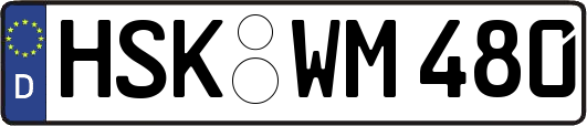 HSK-WM480