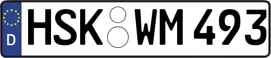 HSK-WM493