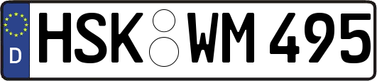 HSK-WM495