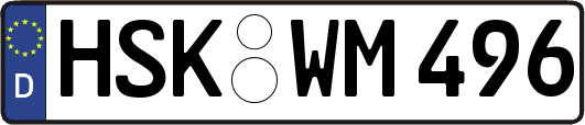 HSK-WM496