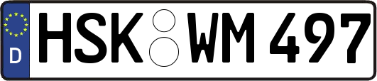 HSK-WM497