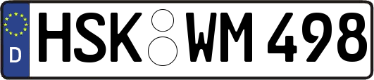 HSK-WM498