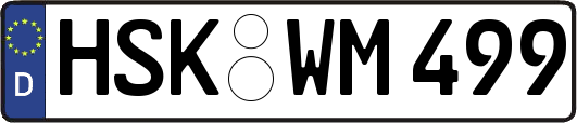 HSK-WM499