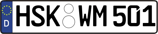 HSK-WM501