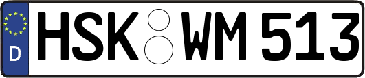 HSK-WM513