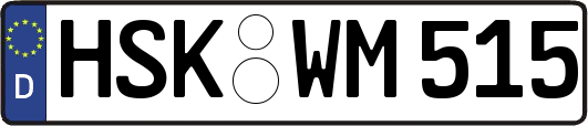 HSK-WM515