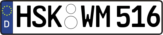 HSK-WM516
