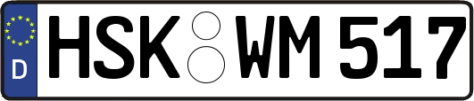 HSK-WM517