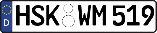 HSK-WM519