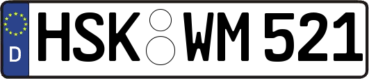 HSK-WM521