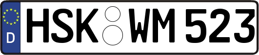 HSK-WM523