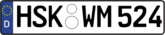 HSK-WM524