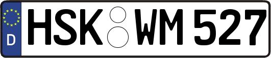 HSK-WM527