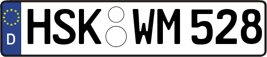 HSK-WM528