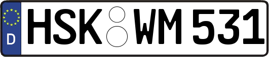 HSK-WM531