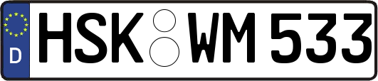 HSK-WM533