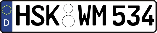 HSK-WM534