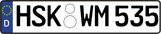 HSK-WM535