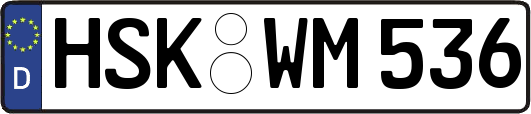 HSK-WM536