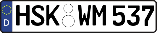 HSK-WM537