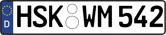 HSK-WM542