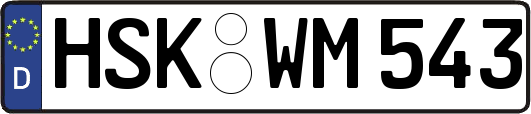 HSK-WM543