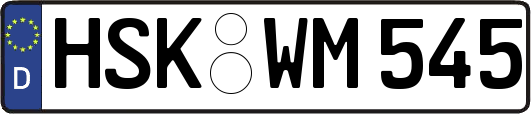 HSK-WM545